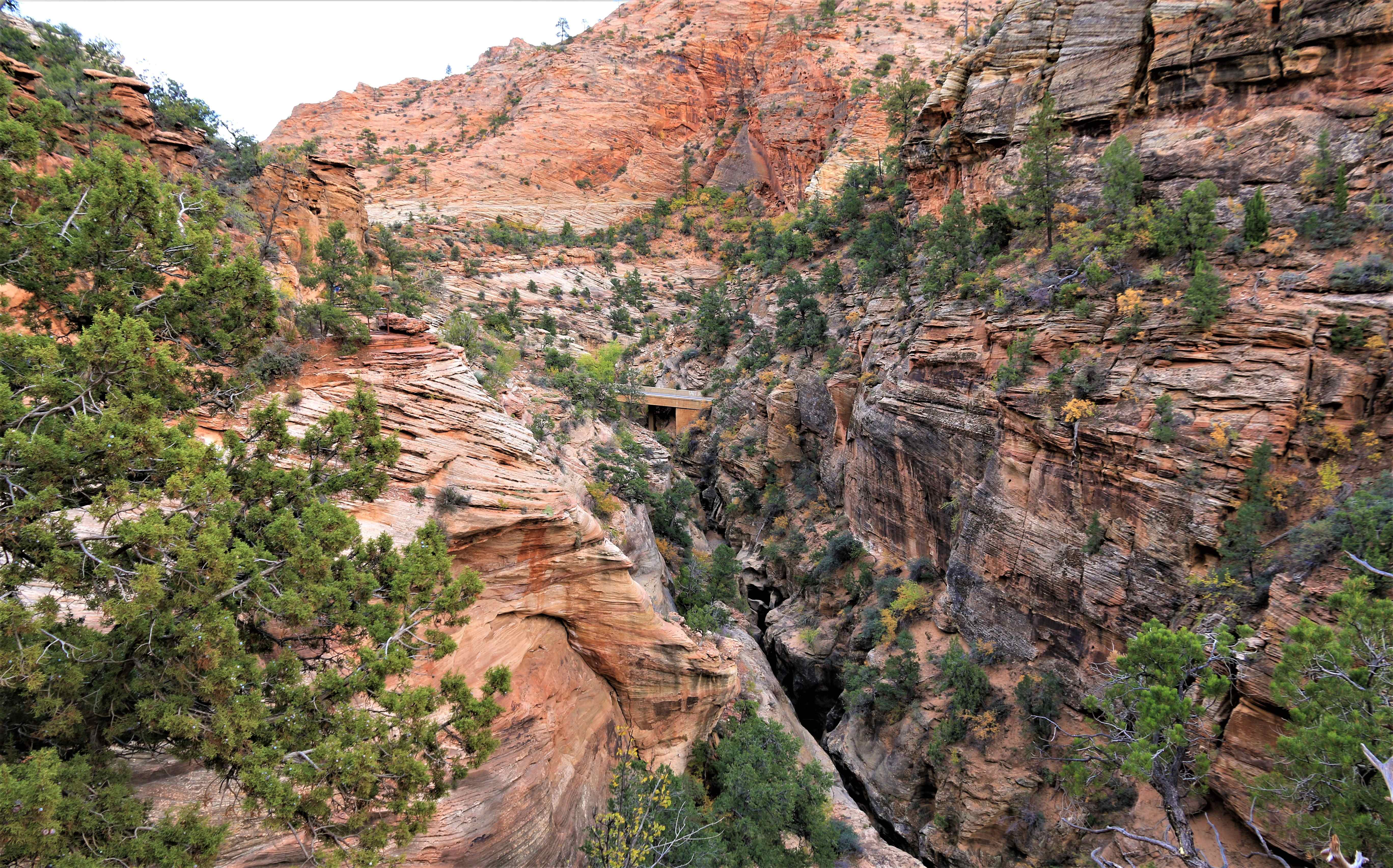 Zion NP